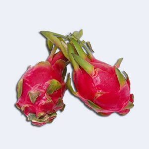 Dragon Fruit