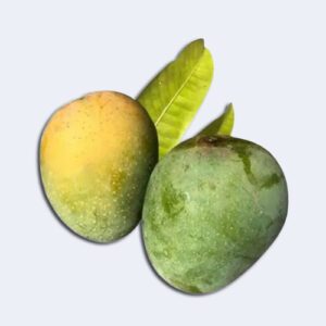 Himsagor Mango