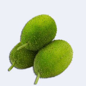 Bitter Gourd
