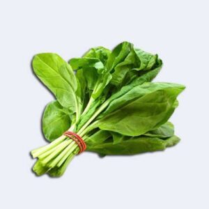 Palong Spinach