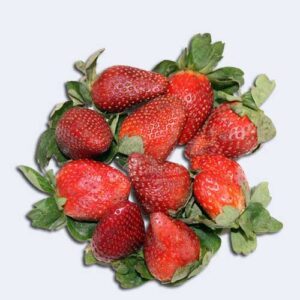 STRAWBERRY
