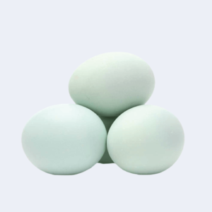 Egg হাঁসের ডিম 1pcs