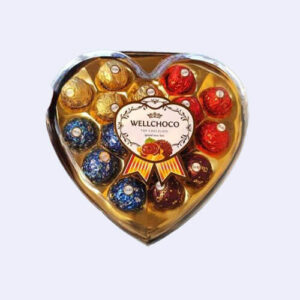 wellchoco chocolate 12 pieces gift box