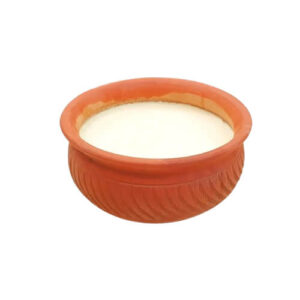 টক দই 1kg