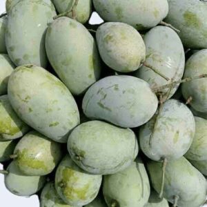 Fazli Mango / ফজলি আম ১ কেজি
